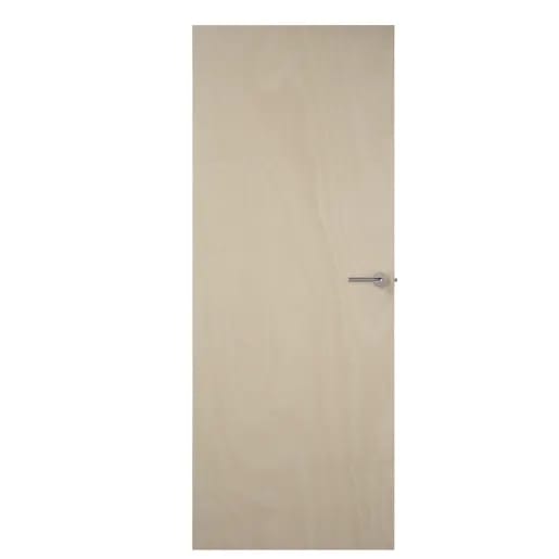 External Ply Flush FD30 Fire Door 762mm x 1981mm x 44mm